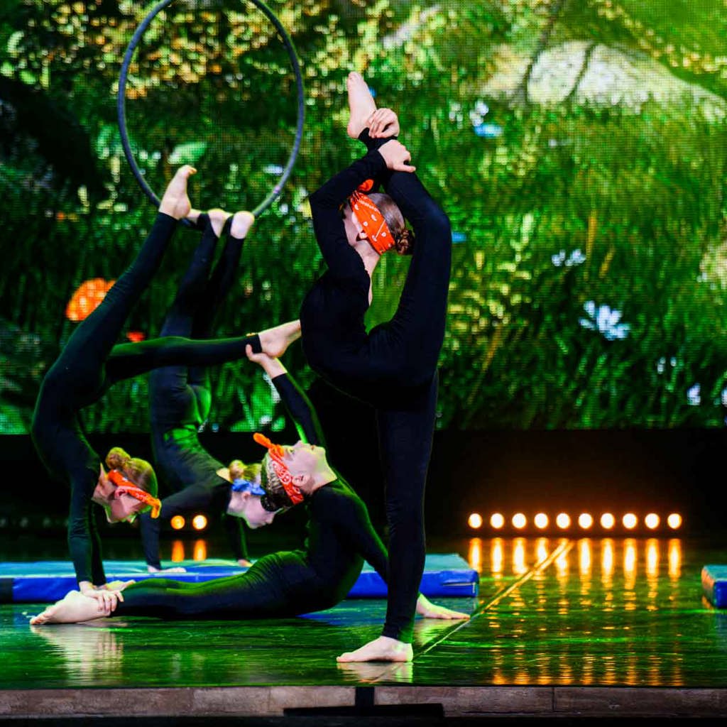 Mister Mo Kirov Dance 8